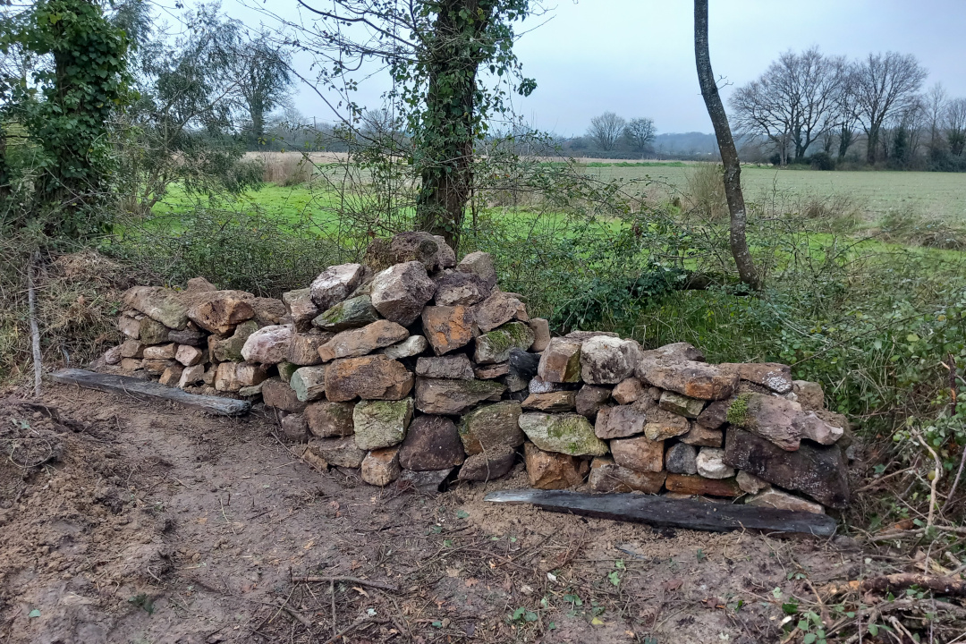Hibernaculum